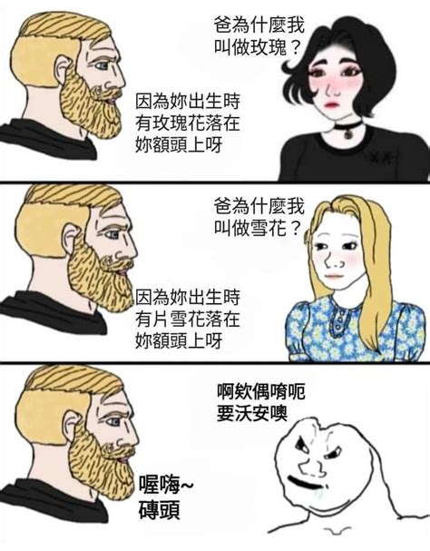 磚頭 梗圖|磚頭磚頭很好玩，有趣喔！